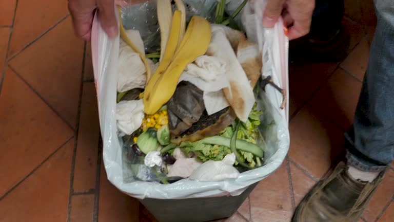 Best Carpet Removal and Disposal  in Al Creek, CO